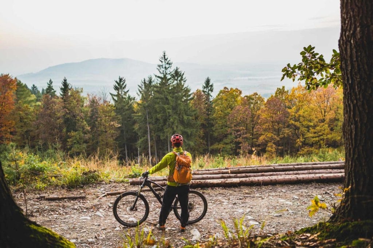 Wycieczki rowerowe w górach – atrakcja dla ceniących aktywność